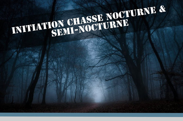 Chasse De Nuit: Les bases pour bien débuter - Brazyer Vision Nocturne