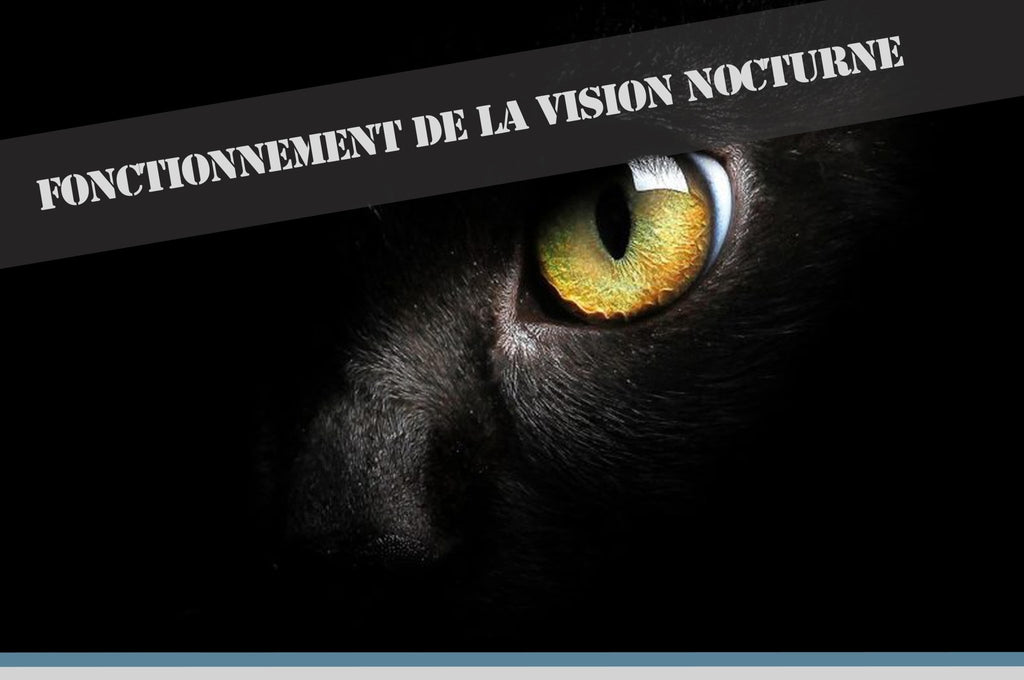 Comment fonctionne la Vision Nocturne Infrarouge & Thermique?