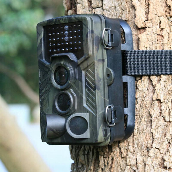 camera vision nocturne infrarouge chasse sur arbre