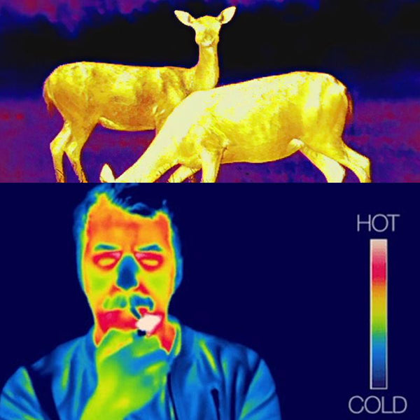 Camera thermique bâtiment à détection de chaleur XEAST